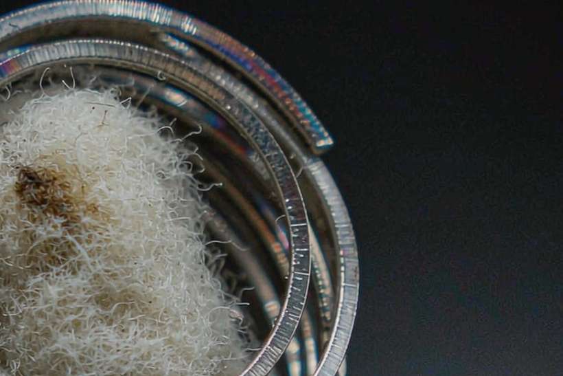 Comparison of IQOS products in Kazakhstan Suppliers — ODM ready