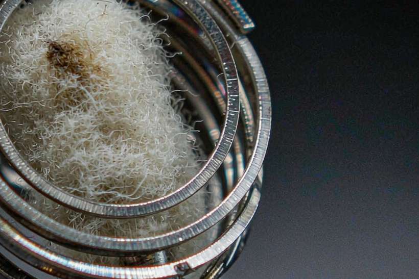 Reseller Guide to IQOS coils — Summer deals