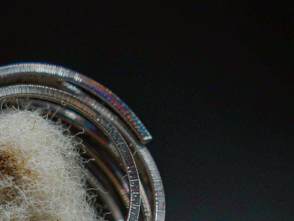 Reseller Guide to IQOS mods — no minimum MOQ