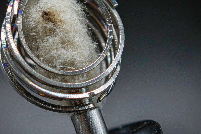 Top Picks of IQOS coils — container load