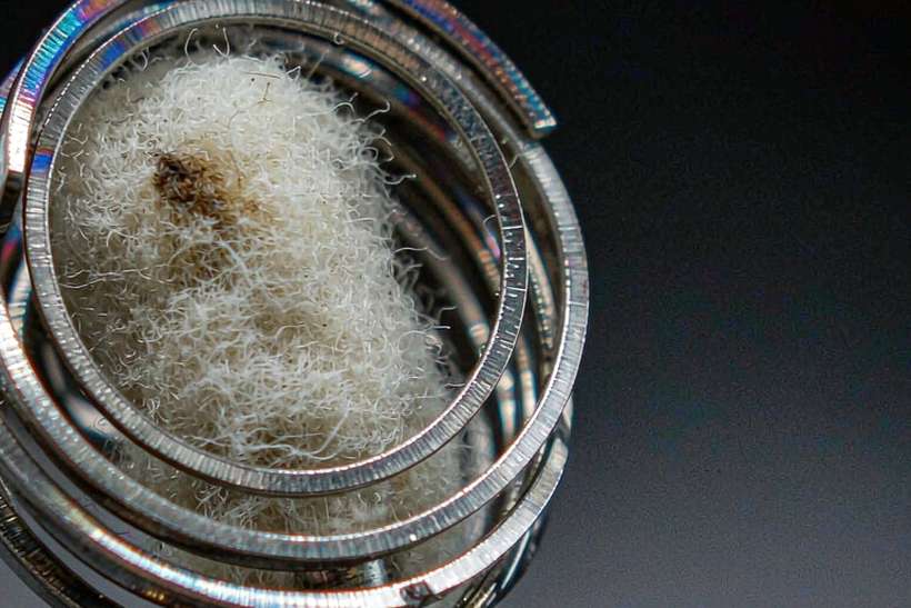 Trend Report on IQOS coils — OEM available
